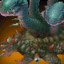 Hydra
