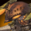 Manticen